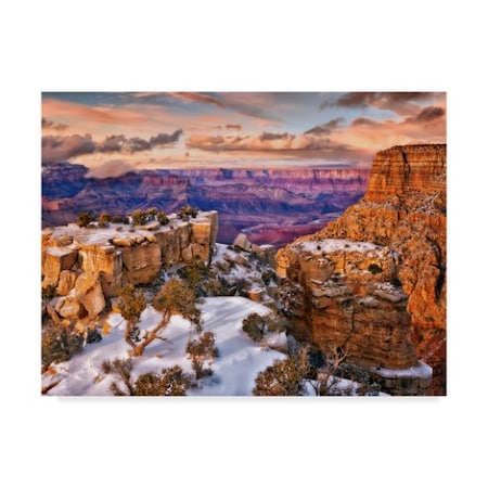 David Drost 'Snowy Grand Canyon V' Canvas Art,14x19